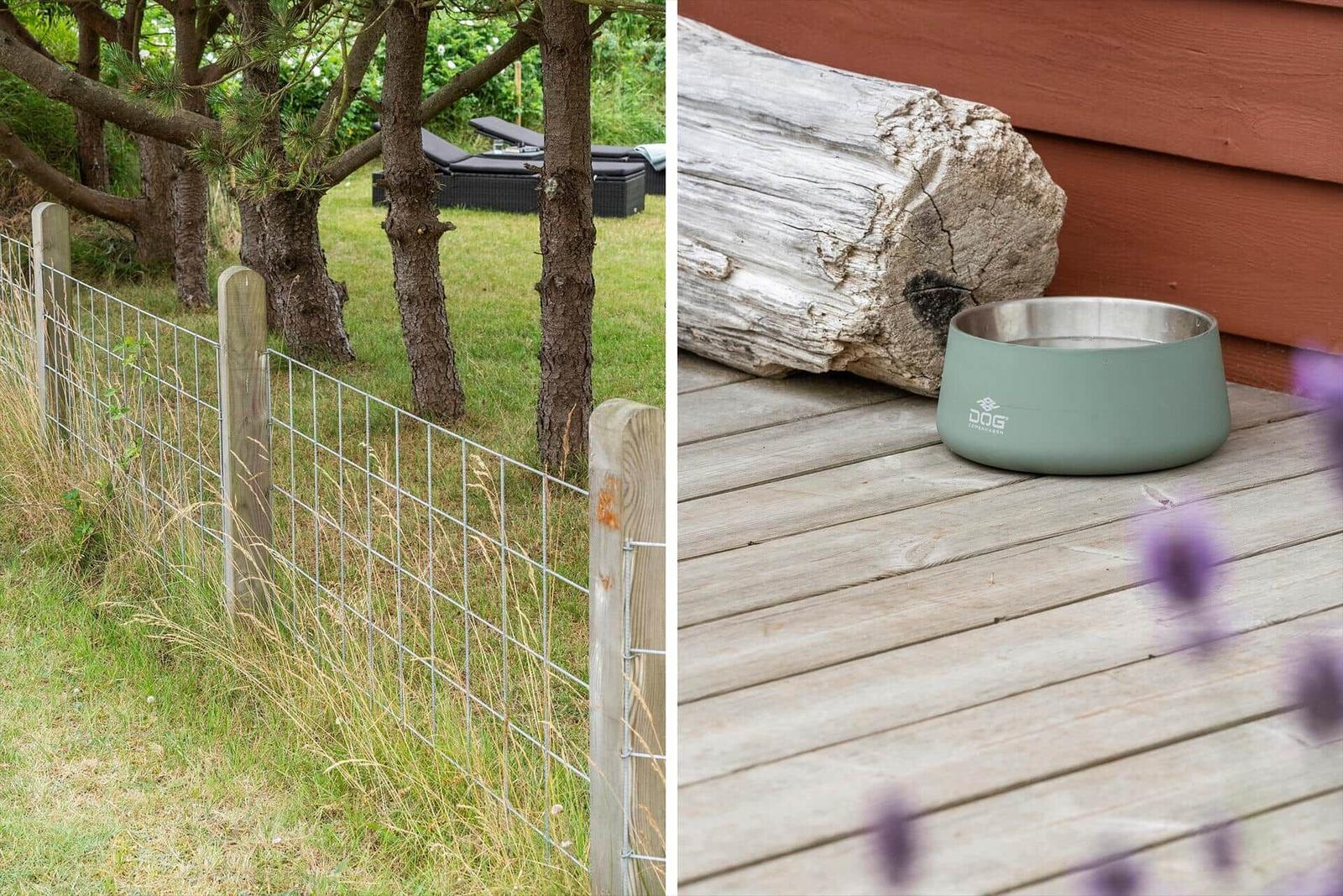 Garten mit Zaun und Liegestühlen. Hundetopf auf Terrasse neben Baumstamm.