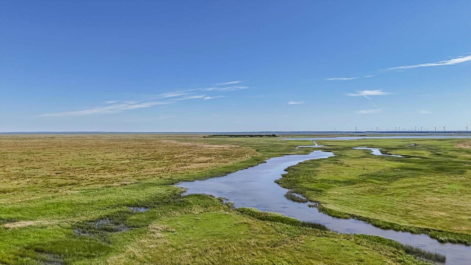 Fluss durch grünes und trockenes Grasland unter blauem Himmel mit Windrädern im Hintergrund.