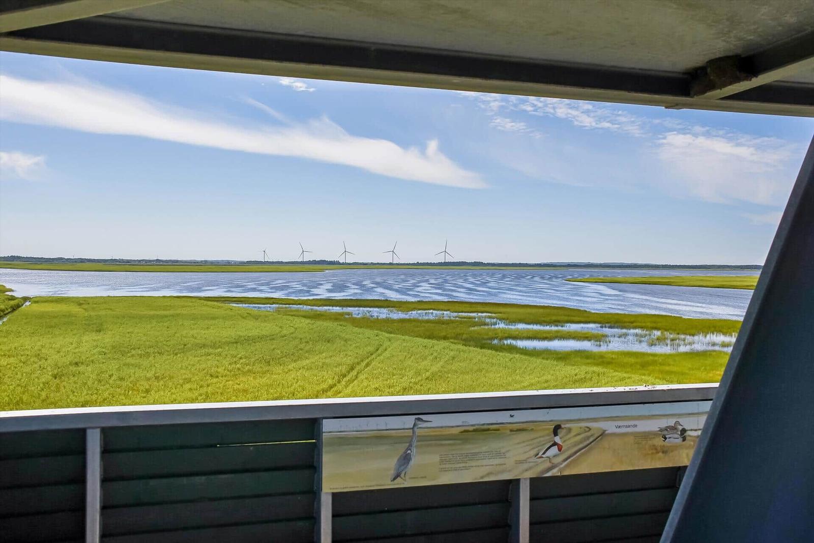 Weitläufiger Blick auf einen See mit Grasland und Windkraftanlagen im Hintergrund.