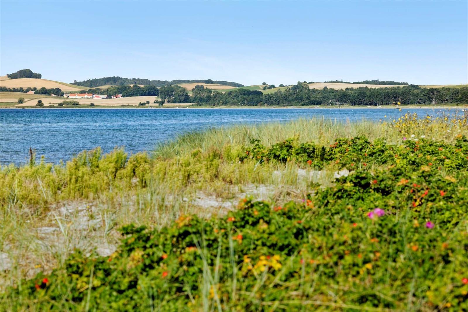View of a lake with green shoreline vegetation and rural landscape in the background.