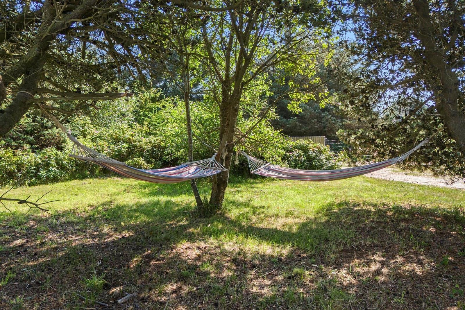 Zwei Hängematten zwischen Bäumen im Garten