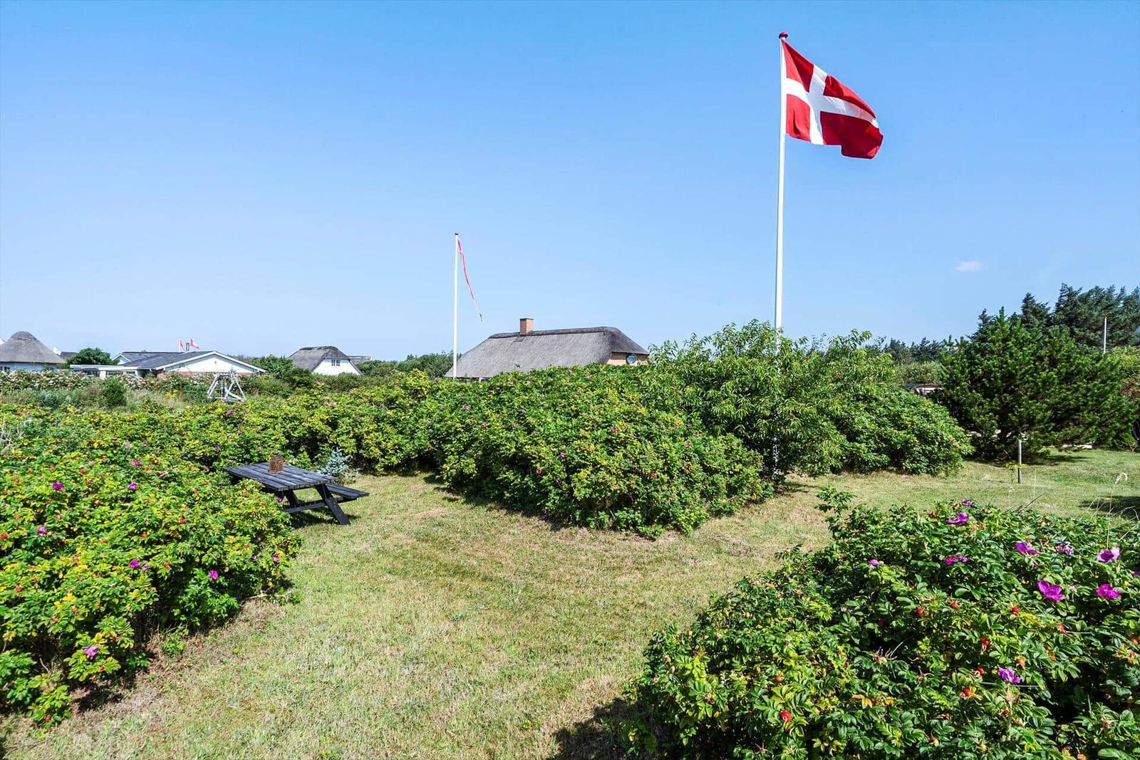 Grüner Garten mit Picknicktisch, dänische Flagge und Häuser im Hintergrund.