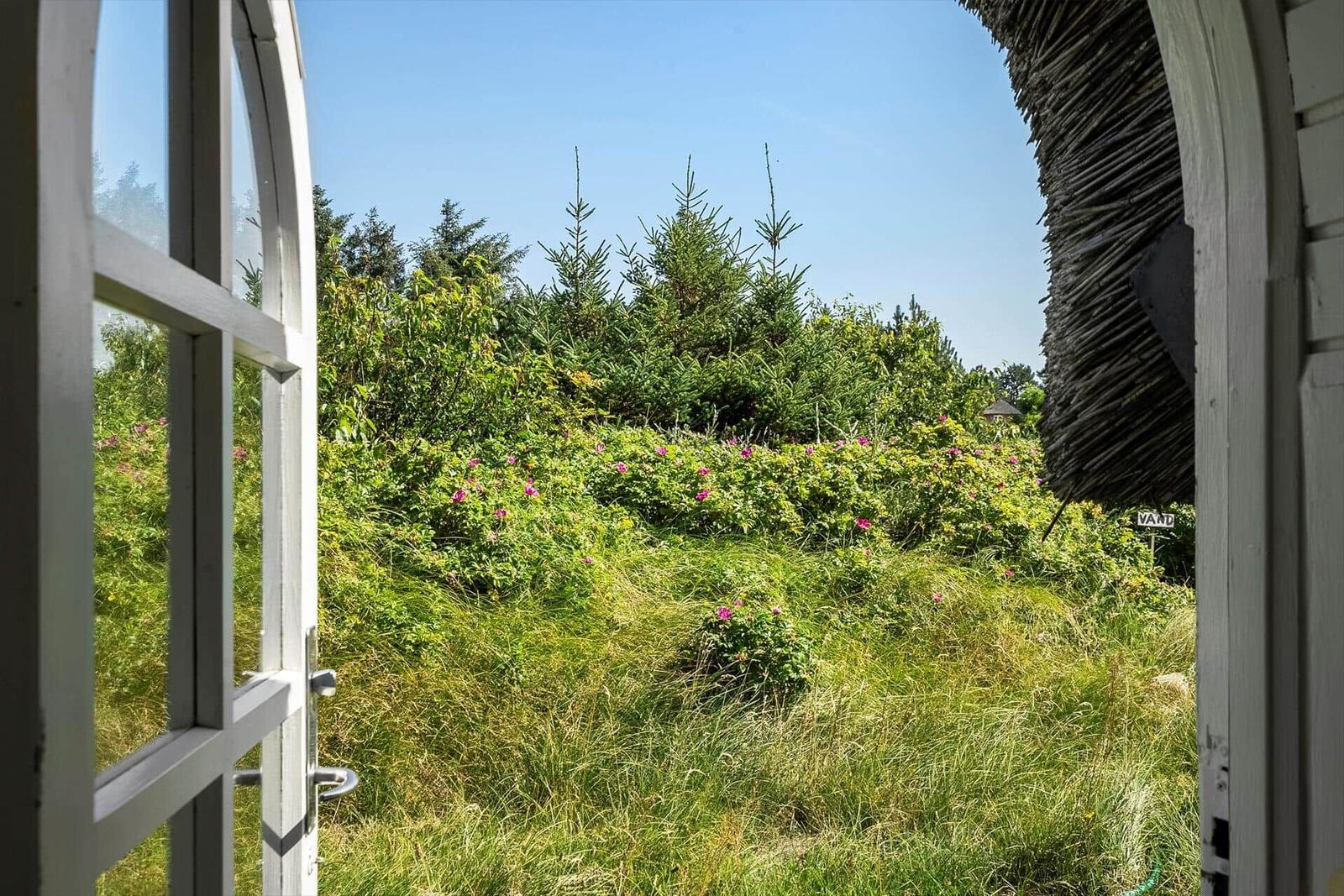 Durch ein Fenster blickt man auf einen grünen Garten mit Rosen und Bäumen.