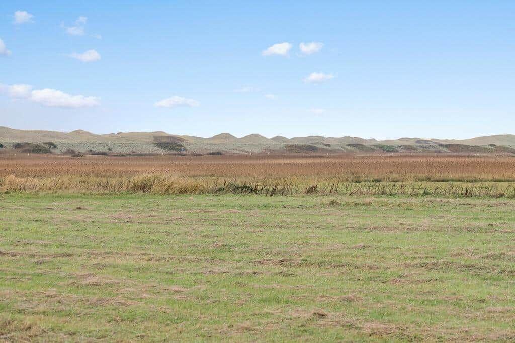 Weitläufiges Grasland mit Hügellandschaft im Hintergrund unter blauem Himmel.