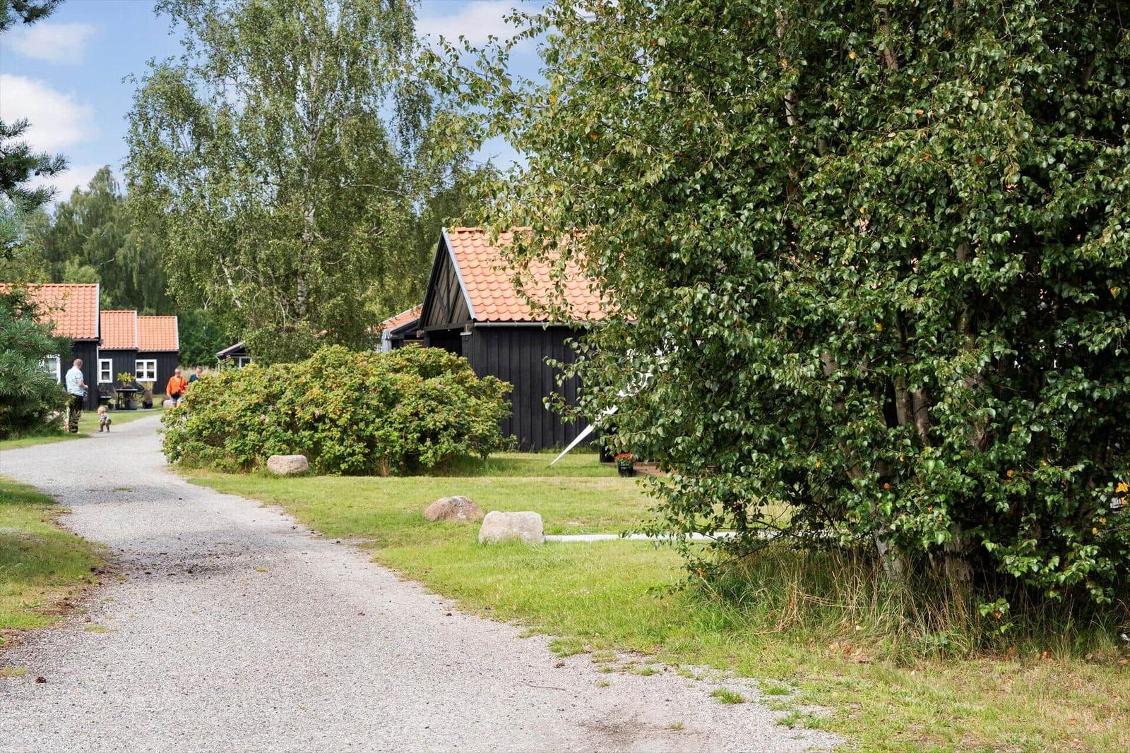 Black wooden houses with red roofs, surrounded by trees and grass.