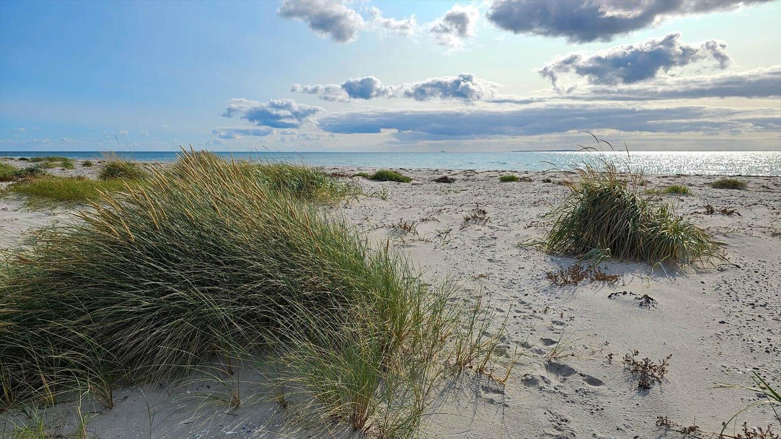 Beach with dunes grass and sea under blue sky with clouds