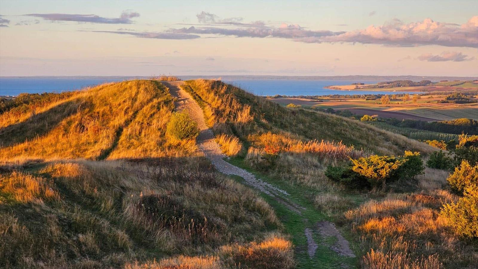 Path leads over grassy hill to coast with view of fields and sea.