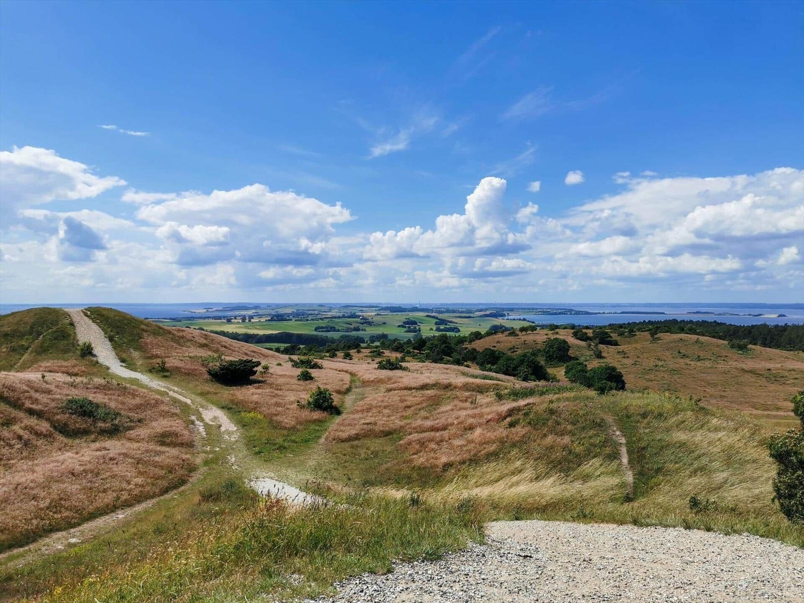 Vast hillside landscape with forest and sea under blue sky with white clouds.