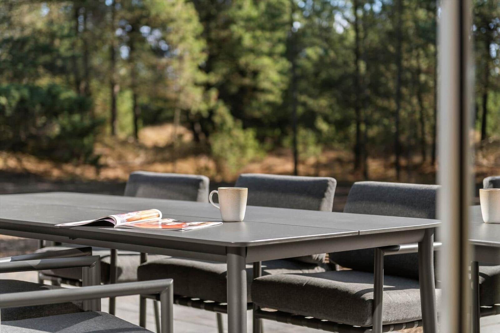 Terrace with table and chairs. Forest in background.