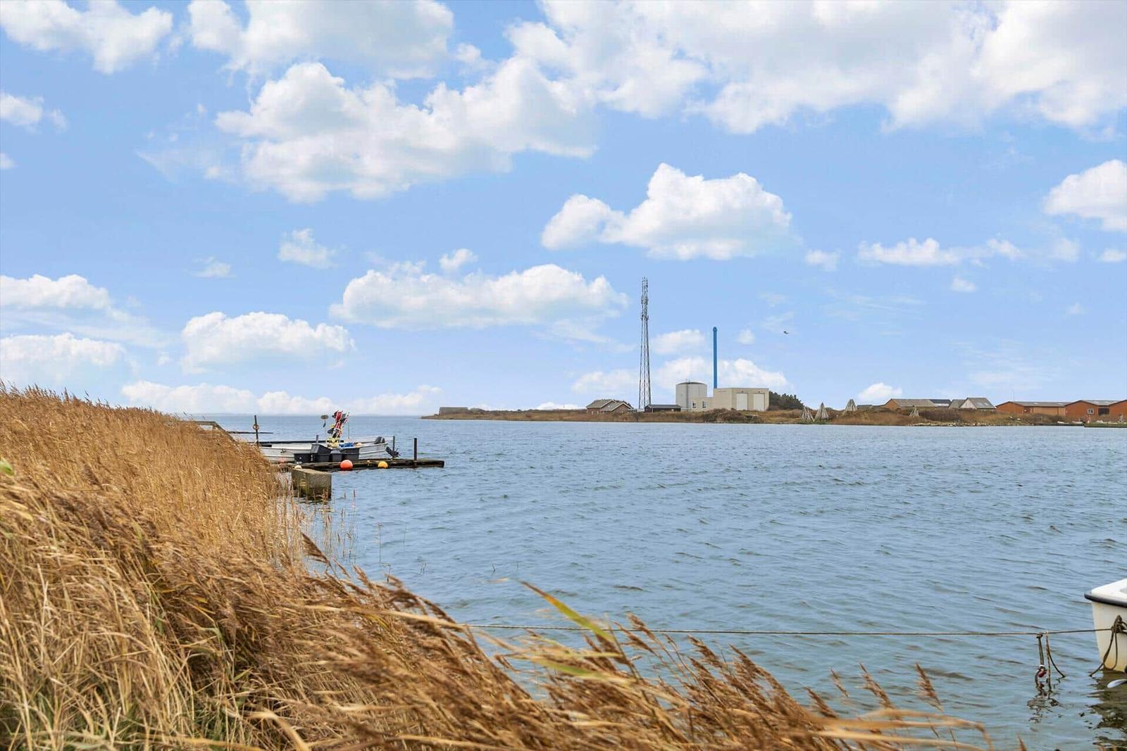 Wasserufer mit Steg, Schilf und Blick auf Industriegebäude im Hintergrund.