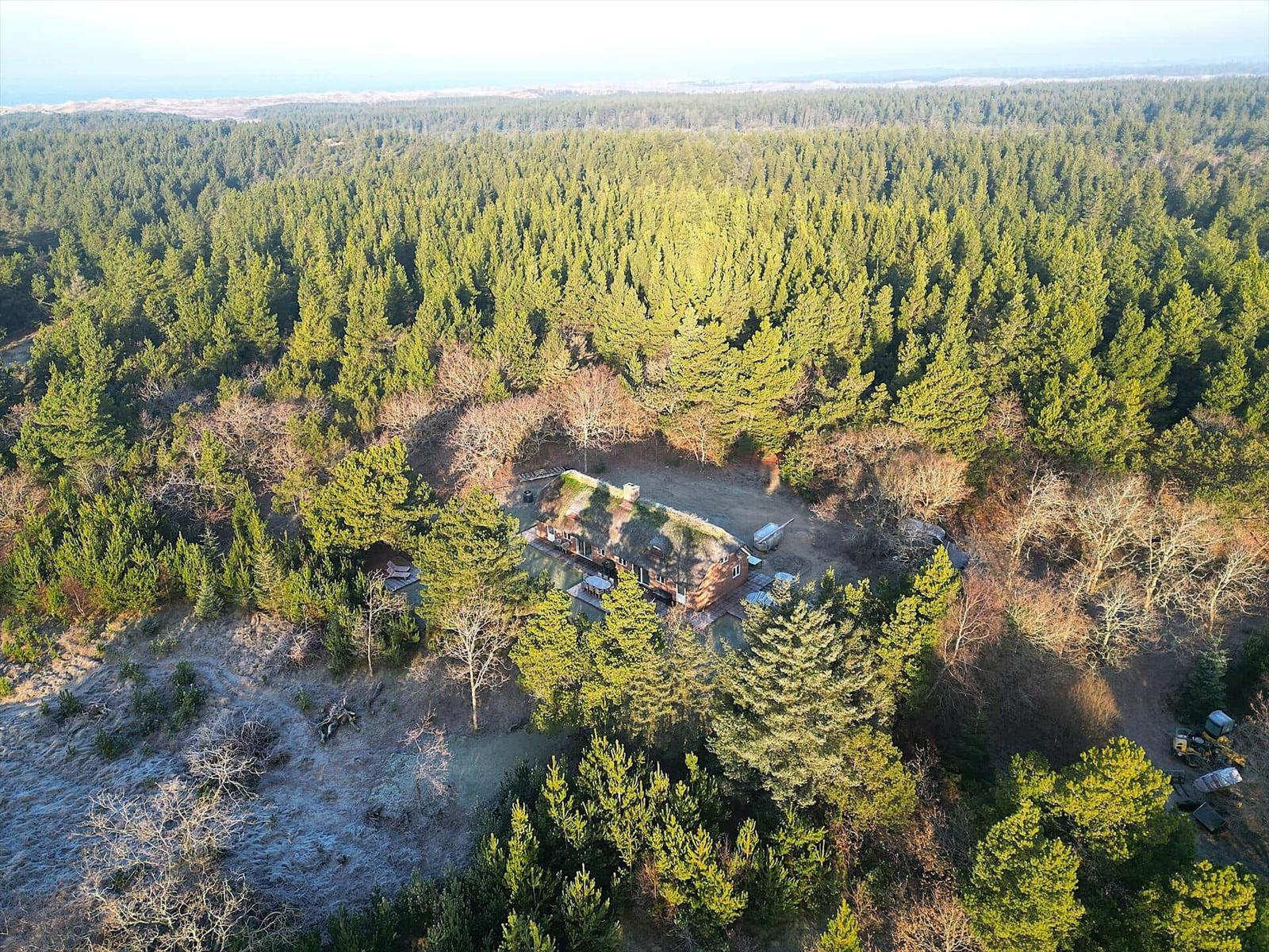 Haus mit grüner Dachlandschaft im Wald, umgeben von Bäumen und einer offenen Fläche.