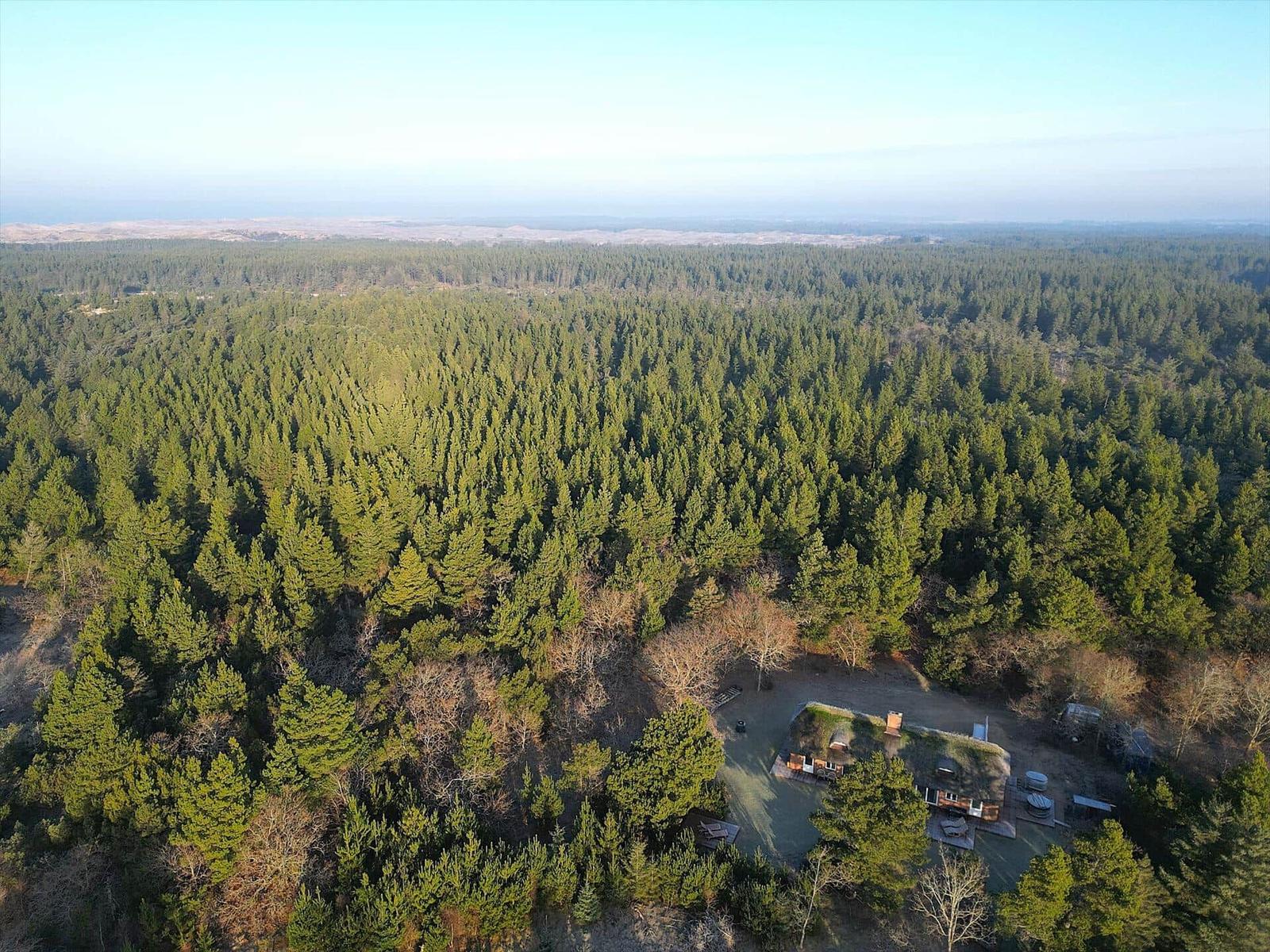 Haus inmitten von Wald mit Terrasse und Grillplatz.