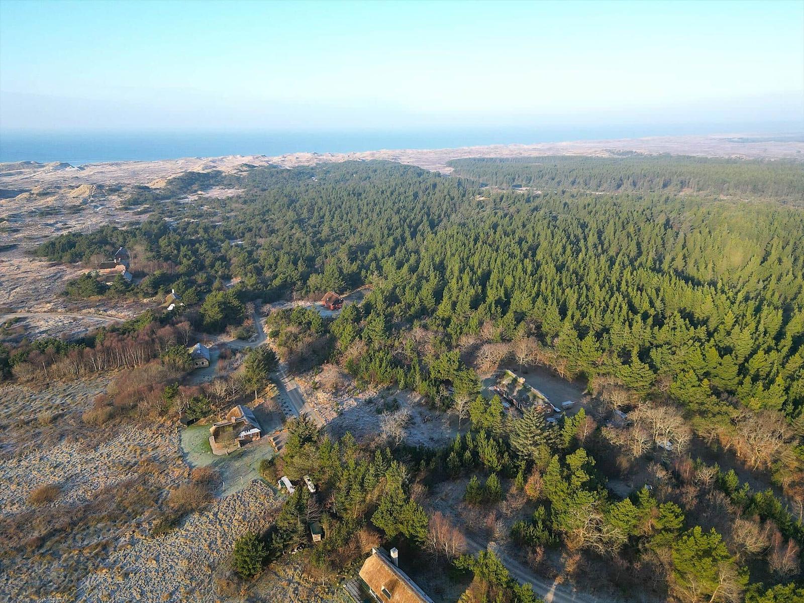 Hochgelegene Waldlandschaft mit Blick aufs Meer und mehreren Häusern.