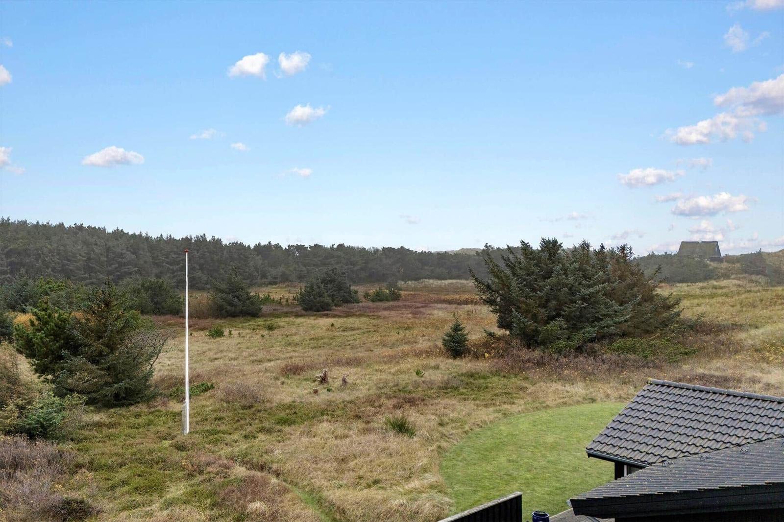 Weitläufiger Blick auf grasbewachsenen Hang mit Bäumen und klarer Himmel