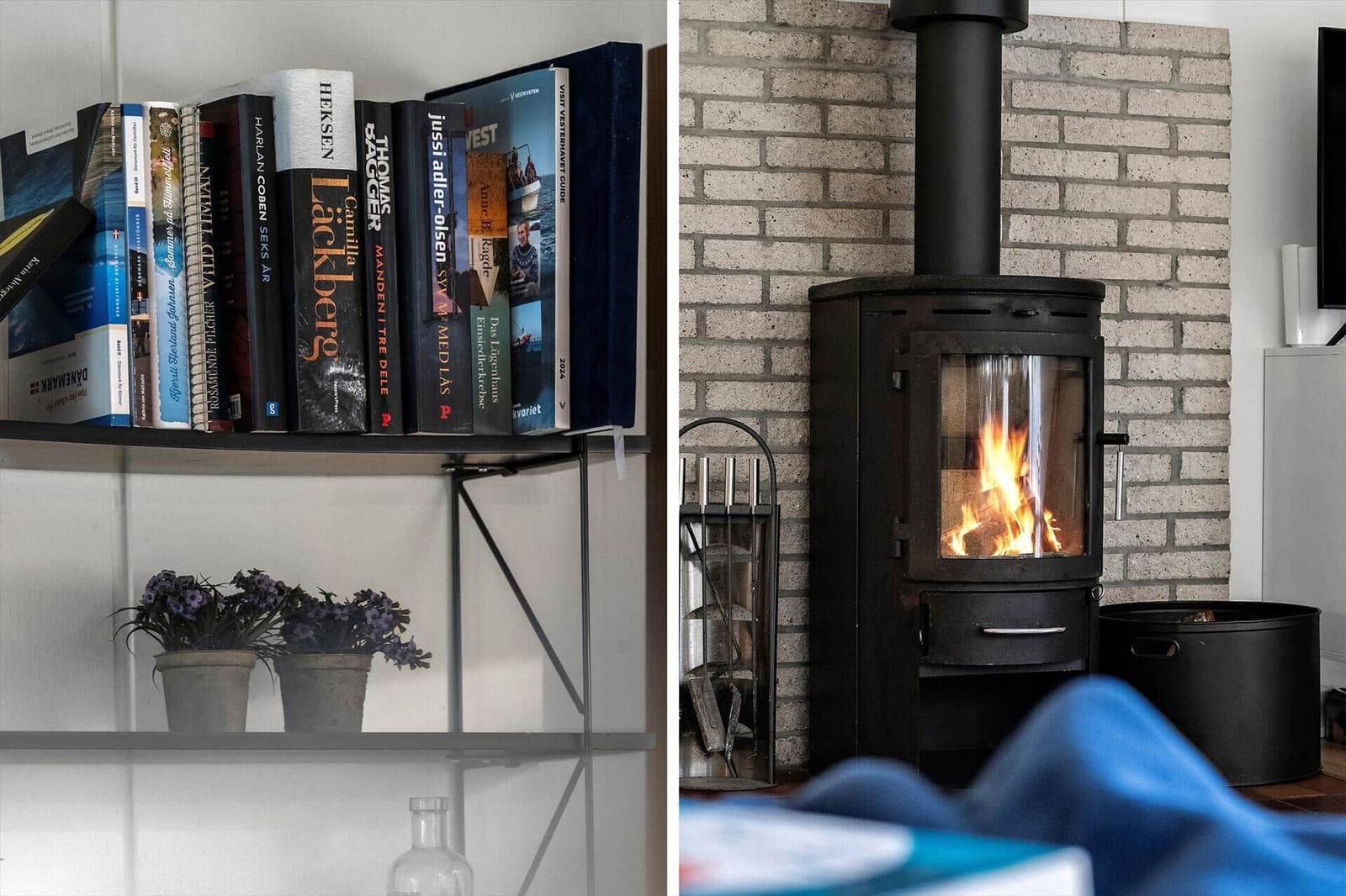 Bücherregal mit Pflanzen und Kaminofen mit brennendem Feuer.