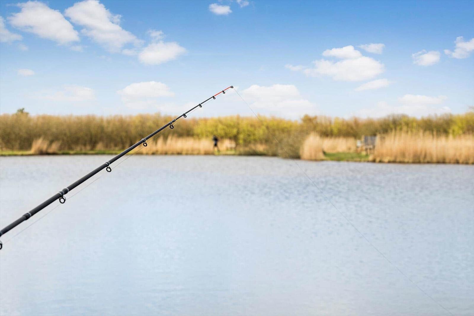 Fishing rod over calm water with reeds and trees in background under blue sky.