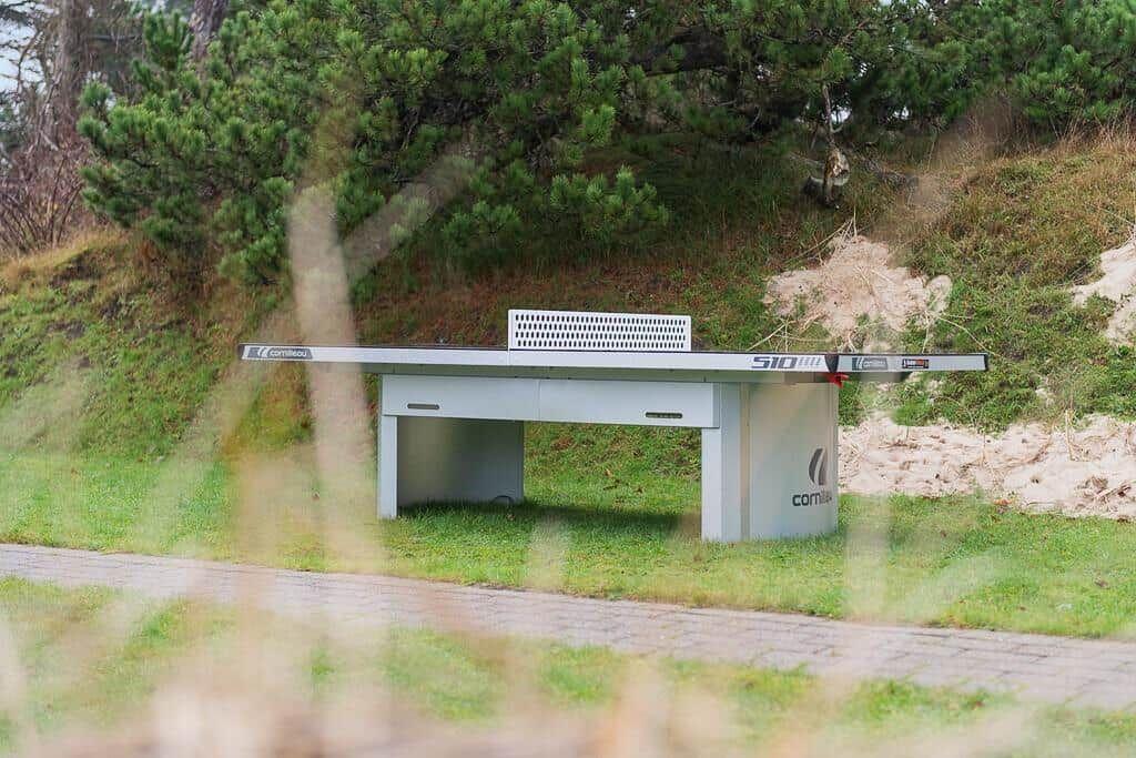 Outdoor table tennis table surrounded by greenery and trees in the background.