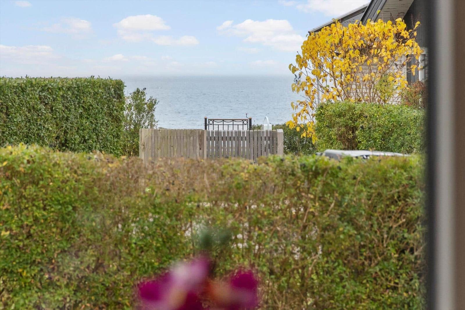 Durch Hecke und Zaun blickt man auf das Meer.