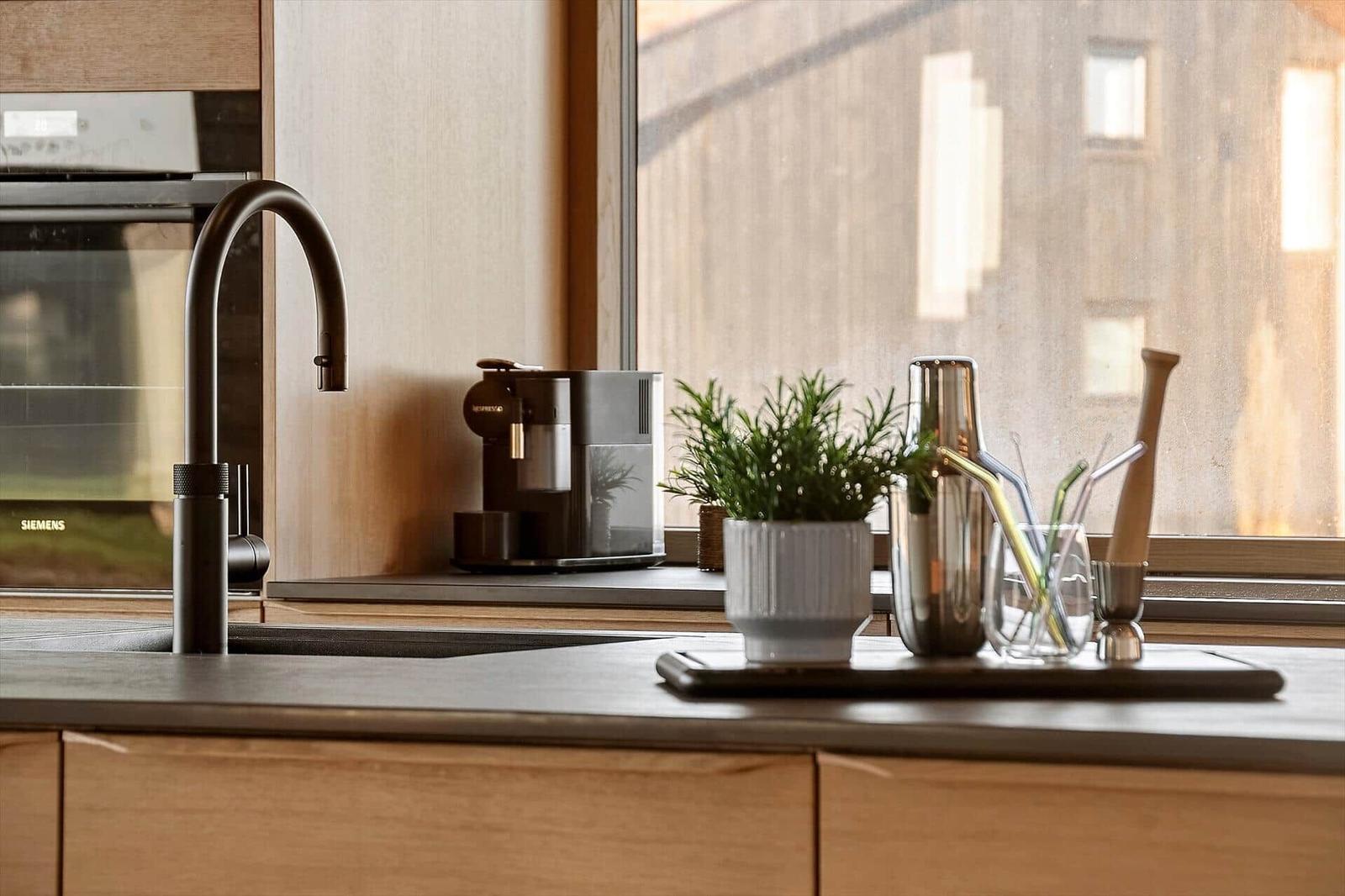 Küchenzeile mit Wasserhahn, Kaffeemaschine und Pflanze vor Fenster