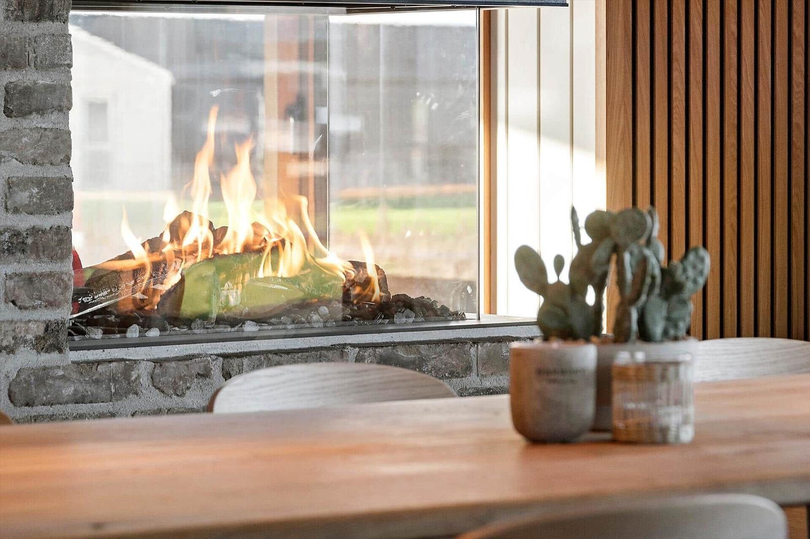 Ein Kamin mit brennenden Holzscheiten und einer Pflanze auf einem Tisch.