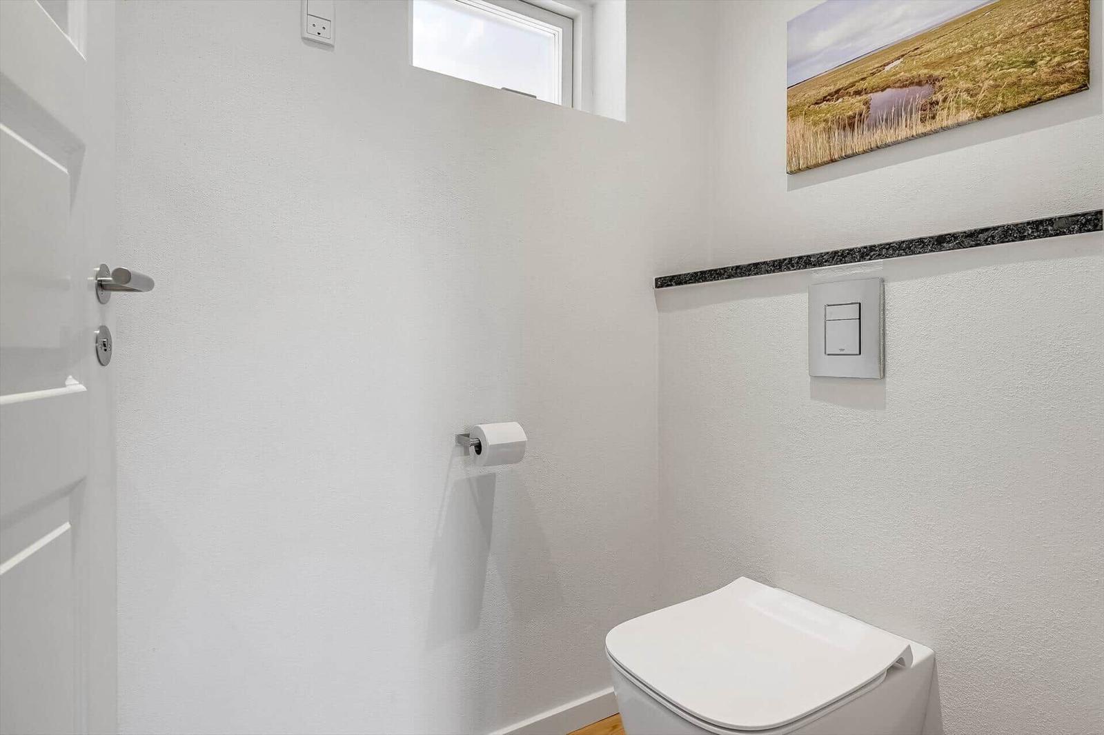 Toilet room with wall picture, toilet, and toilet paper holder.