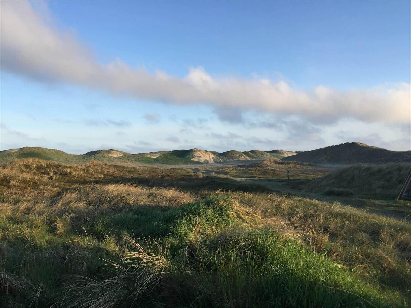 Grüne Dünenlandschaft unter blauem Himmel mit weißen Wolken.