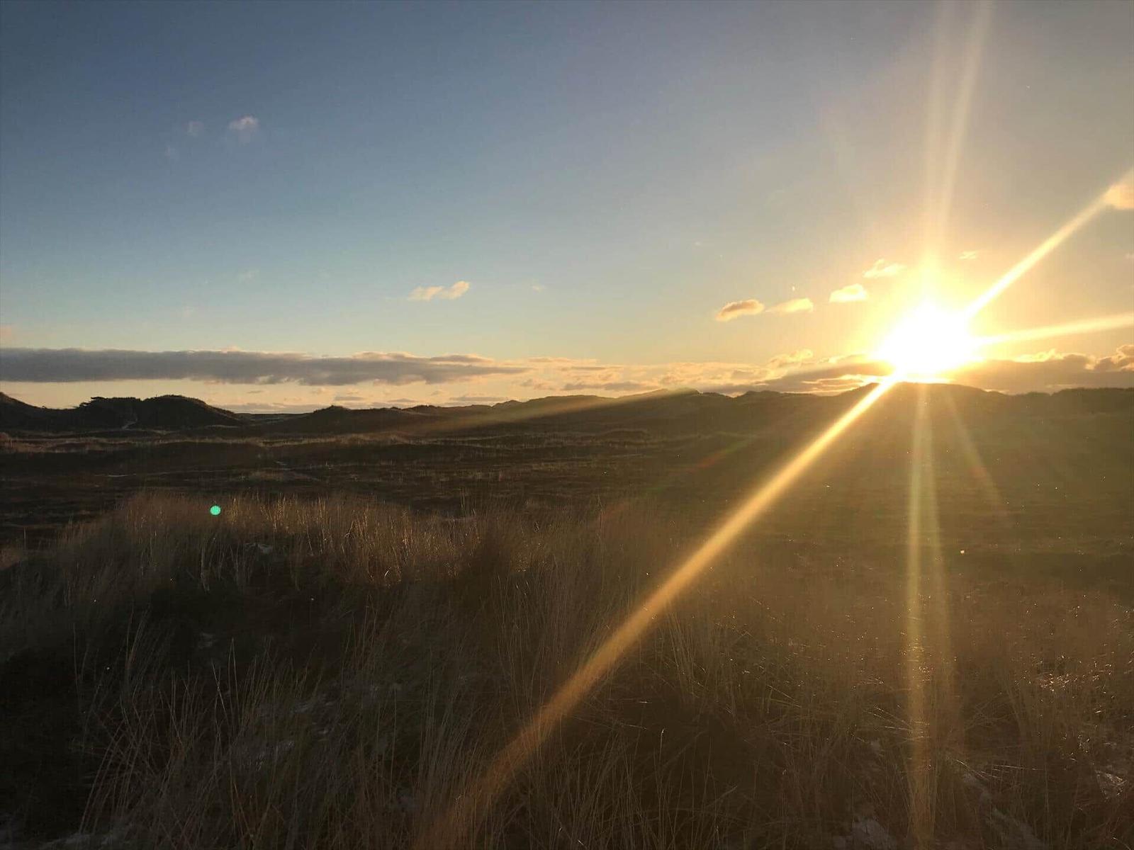 Sonnenuntergang über Dünenlandschaft mit Grashalmen und blauem Himmel.