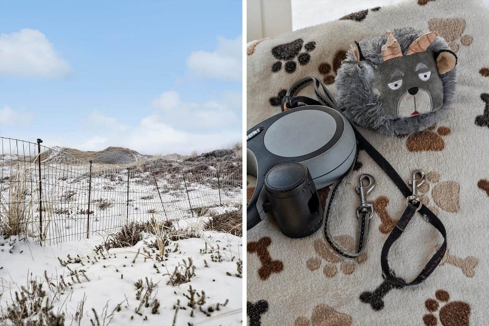 Schneebedeckte Dünen mit Zaun. Hundeleine und Kuscheltier auf Decke mit Pfotenmustern.