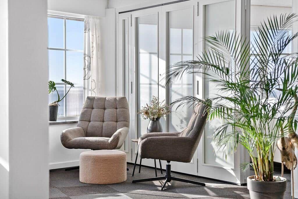 Two chairs and a plant in front of windows with a view of the sky.