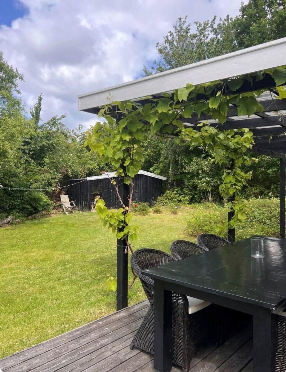 Terrace with table and chairs under a pergola with climbing plants.