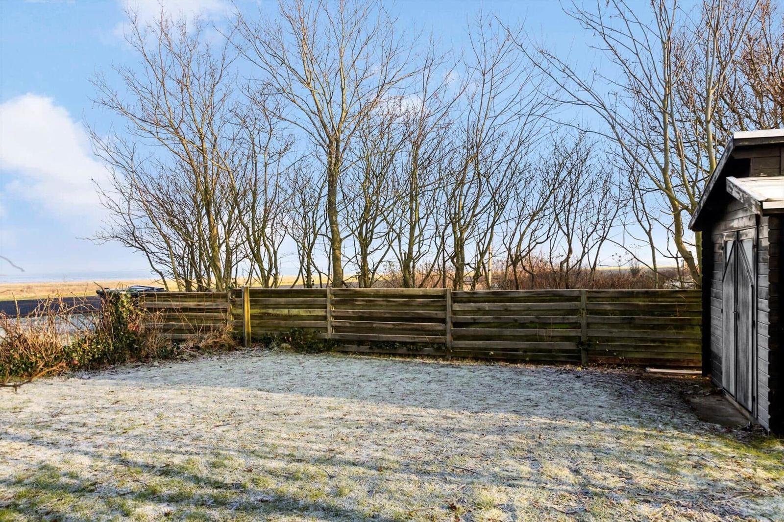 Frosted garden with wooden fence, bare trees, and small shed on sunny day.
