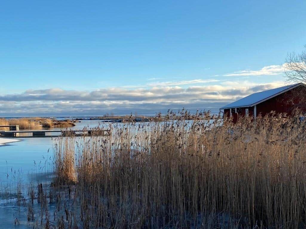 Rotes Haus am Wasser mit Schnee und Schilf