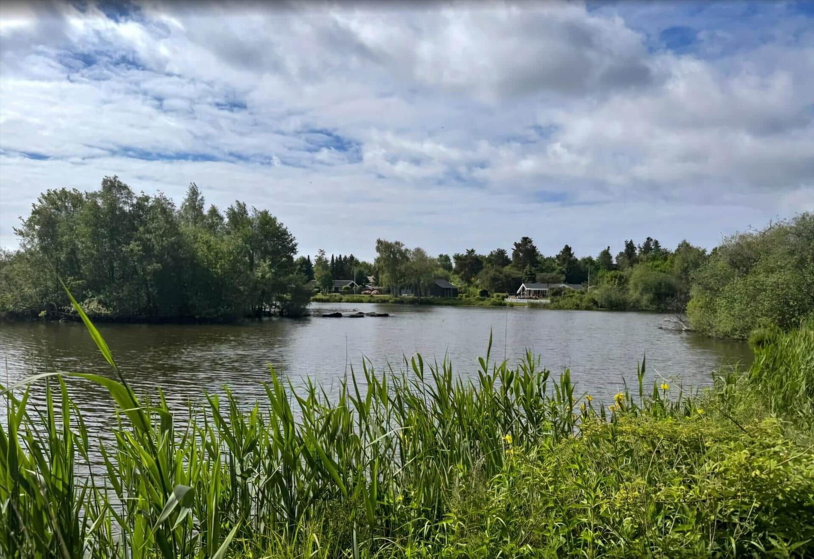 See mit Ufervegetation und Bäumen im Hintergrund unter bewölktem Himmel.