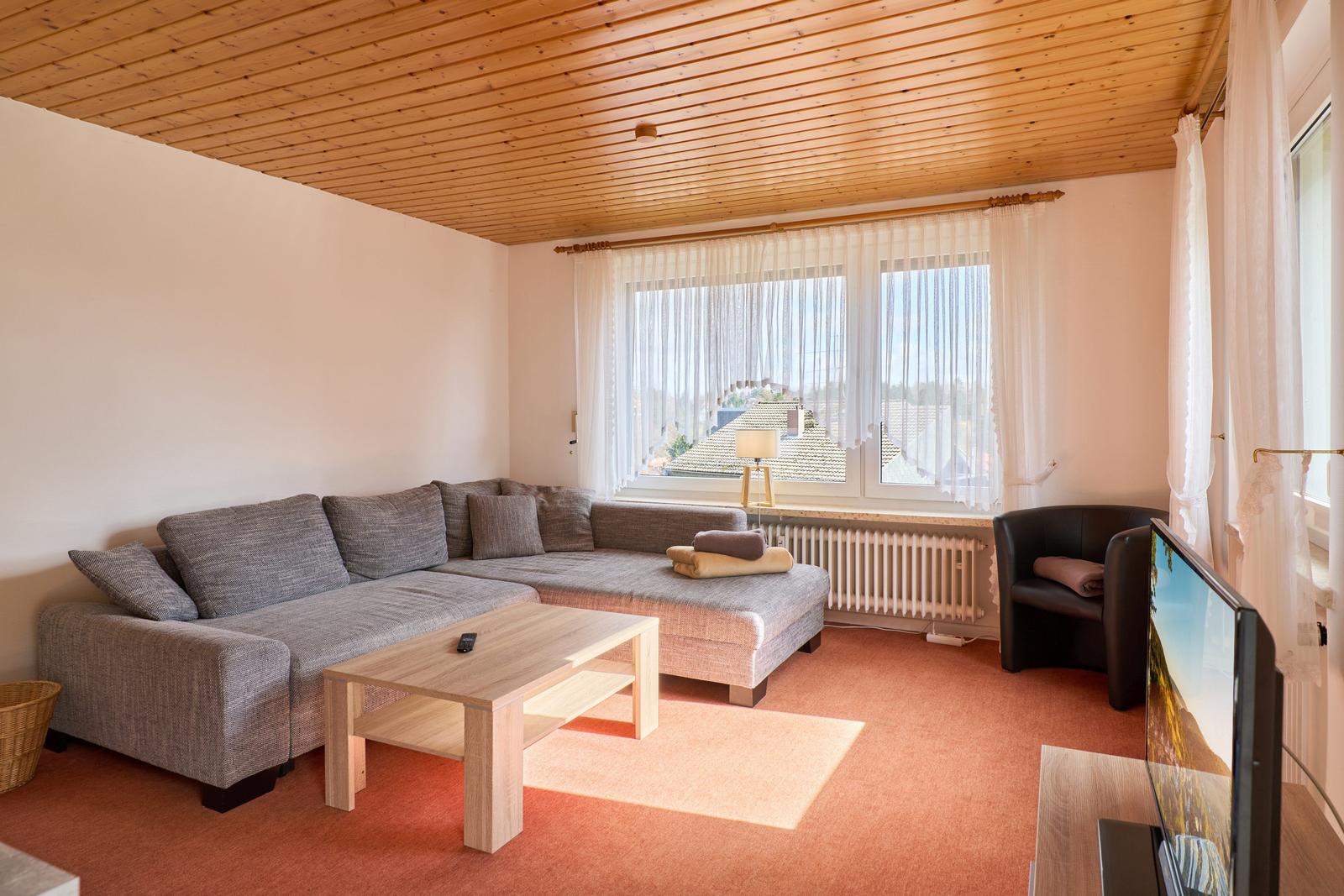 Wohnzimmer mit Sofa, Couchtisch und Fernseher. Holzdecke und Fenster mit Blick.