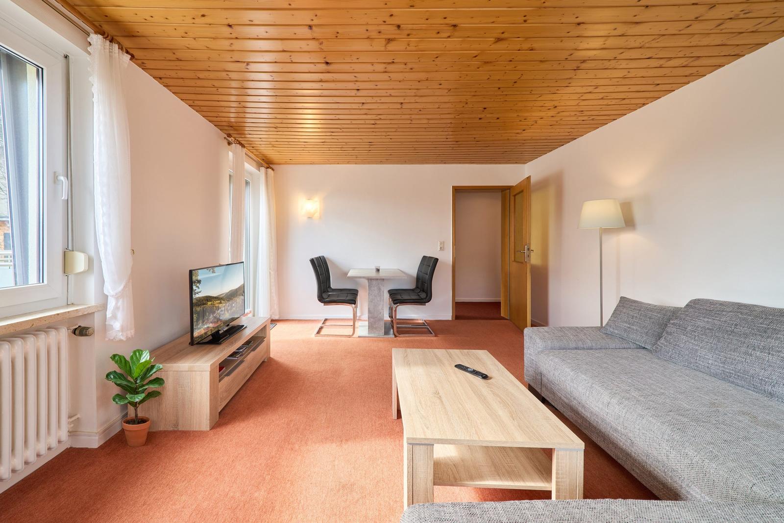 Wohnzimmer mit Sofa, Couchtisch, Fernseher und Esstisch mit zwei Stühlen.