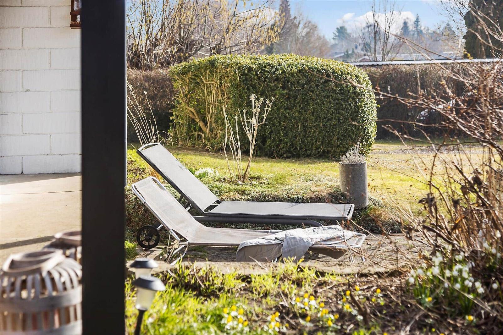 Zwei Liegestühle stehen im Garten vor einem Heckenzaun.