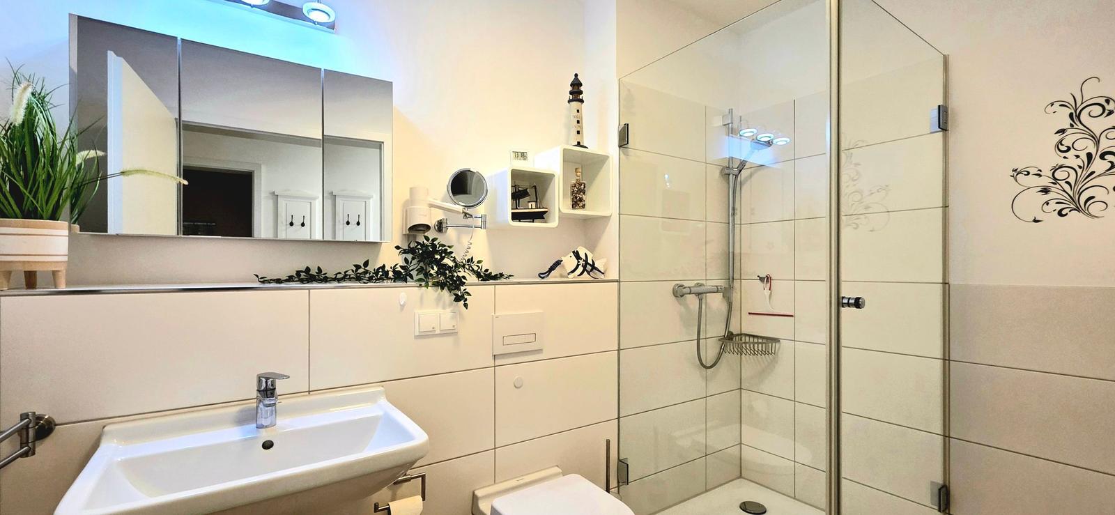 Badezimmer mit Dusche, Waschbecken und Spiegelschrank.