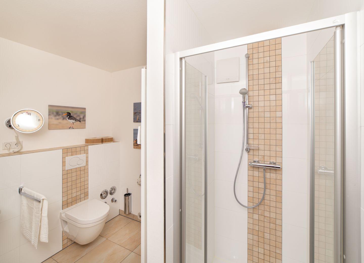 Dusche mit Duschbrause und Toilette im Badezimmer