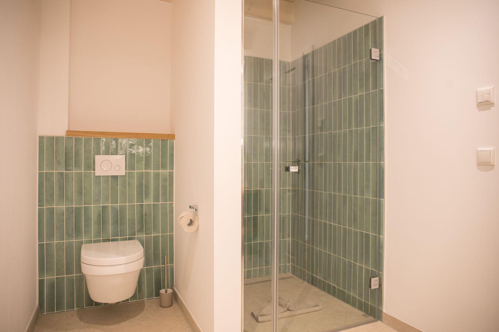 Badezimmer mit Dusche und Toilette, Wandfliesen in Grün.