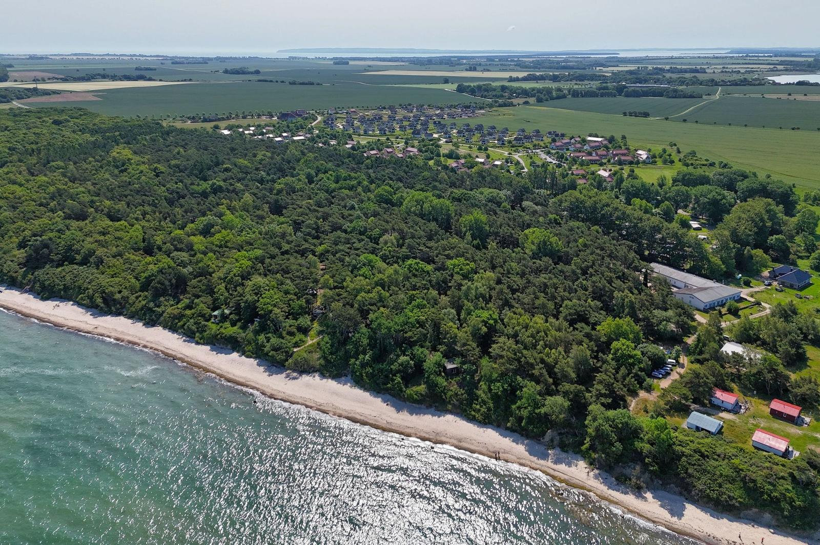 Aerial view of a coastal area with forest, beach, and residential houses.