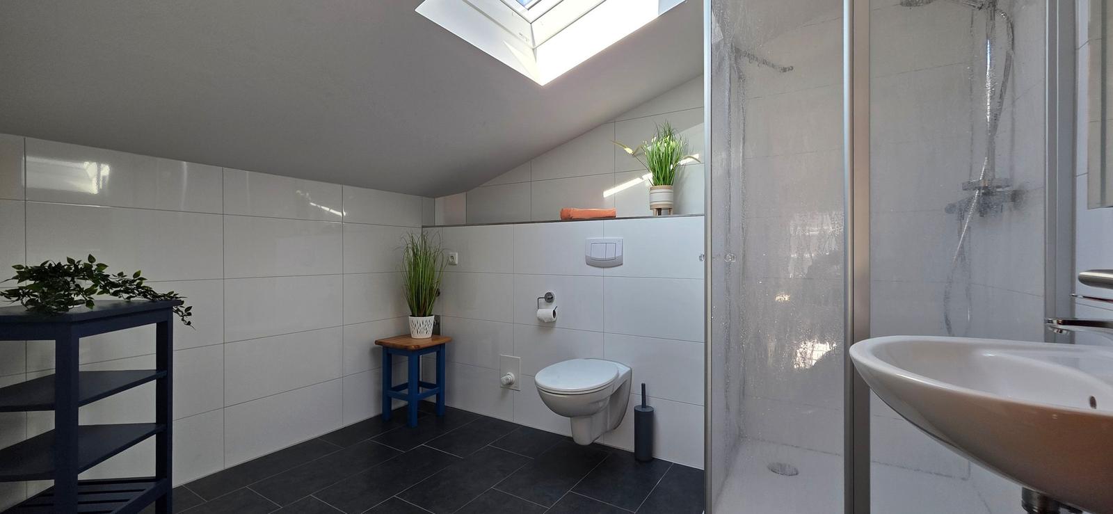 Badezimmer mit Dusche, Toilette und Waschbecken. Dachfenster, Pflanzen und dunkler Boden.