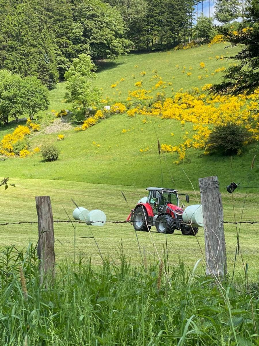 Roter Traktor zieht Heuballen durch grünes Feld mit gelben Blumen.