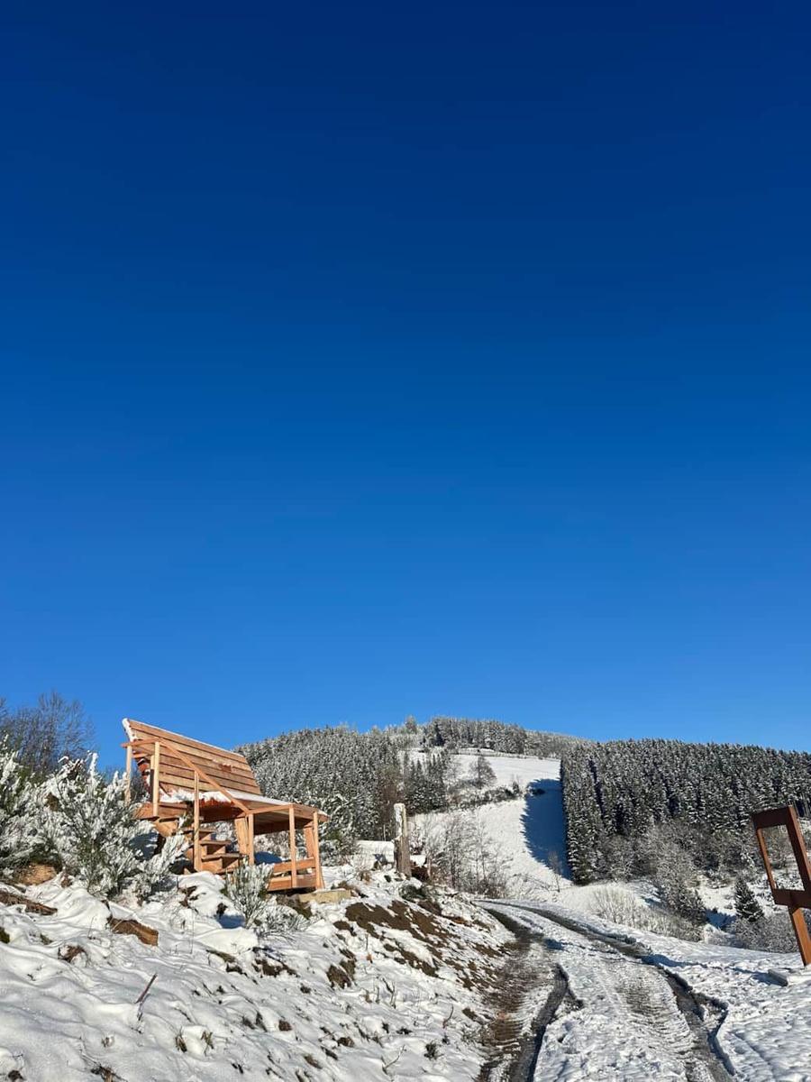 Holzstruktur auf schneebedecktem Hang mit Wald im Hintergrund unter blauem Himmel.
