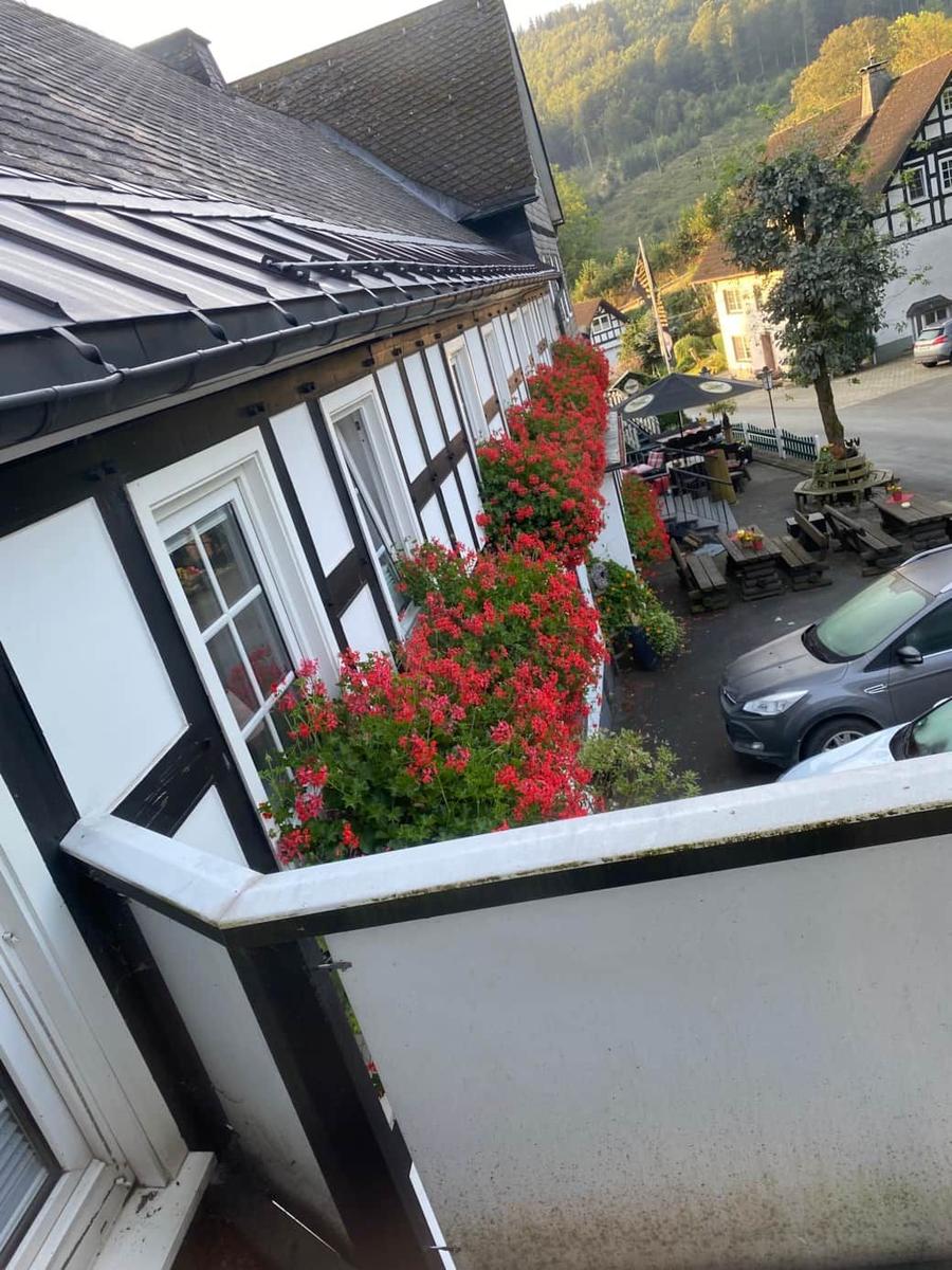 Fassade mit Blumenkästen und Terrasse mit Tischen. Hintergrund: Wald und weitere Häuser.