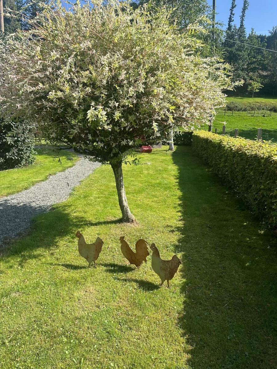 Drei Hühnerfiguren stehen auf einer grünen Wiese neben einem Baum.