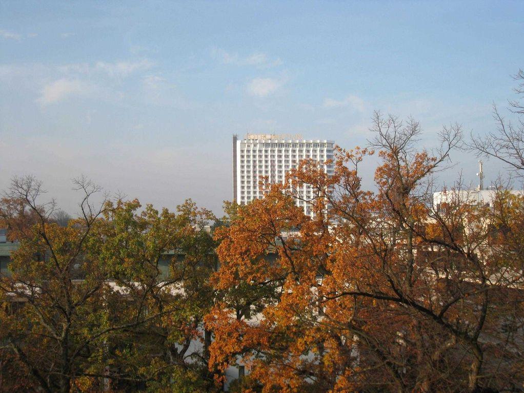 Hochhaus mit Hotel-Schriftzug hinter Herbstbäumen