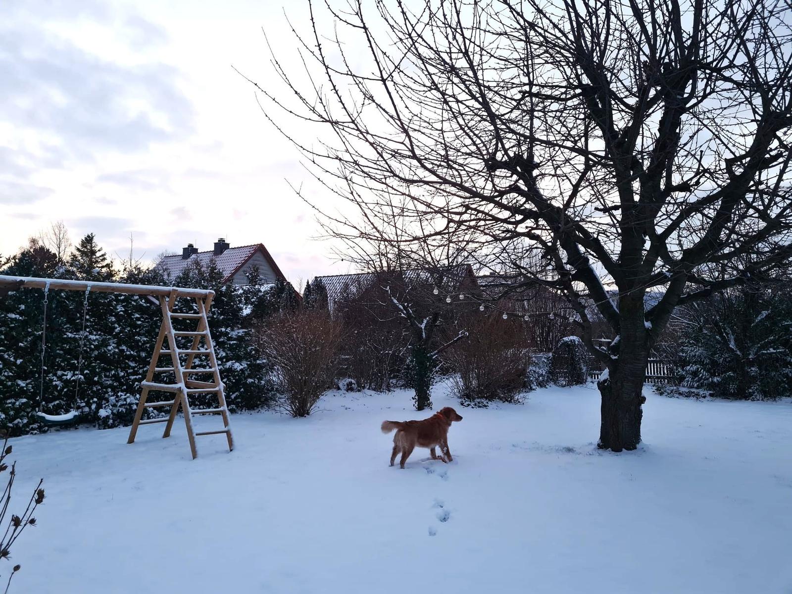 Der Garten im Winter