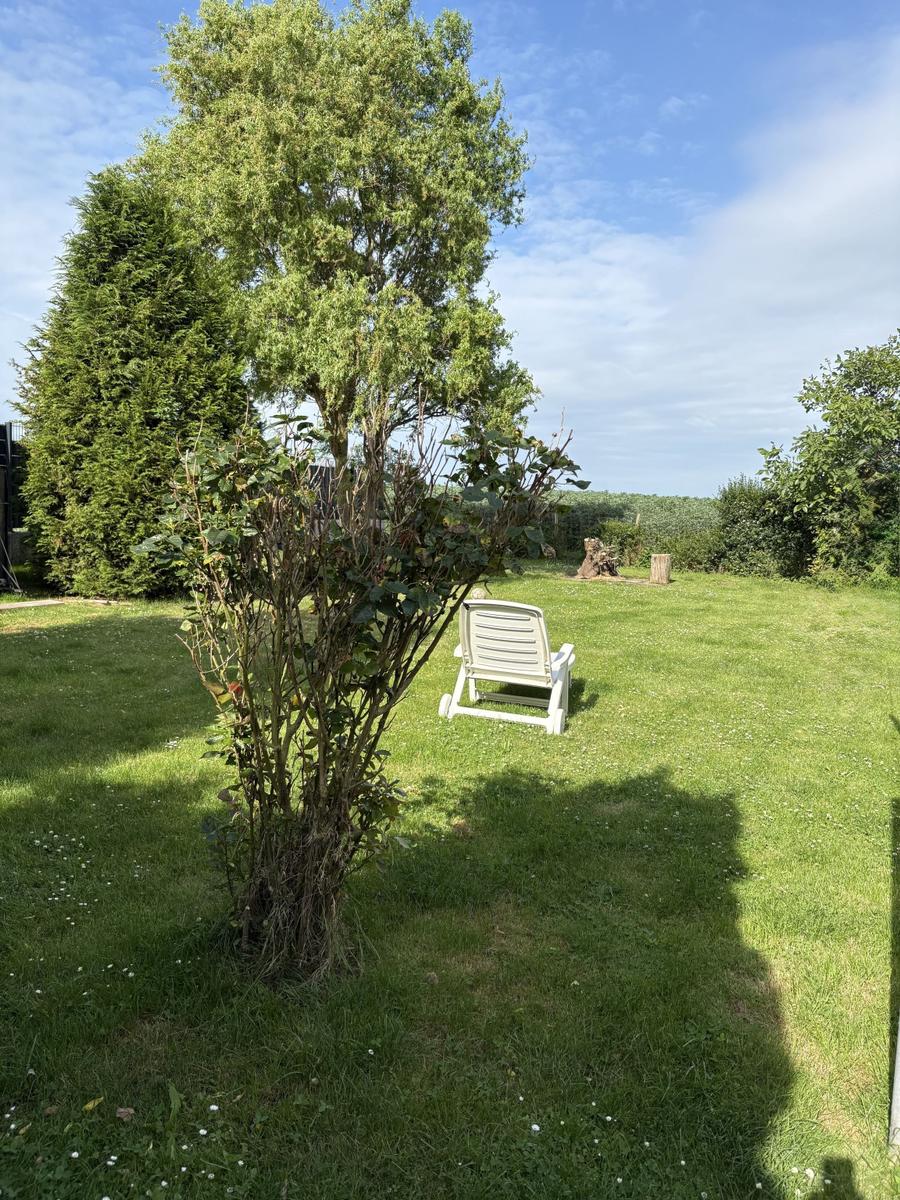 Garten mit Stuhl, Bäumen und Grasfläche unter blauem Himmel.