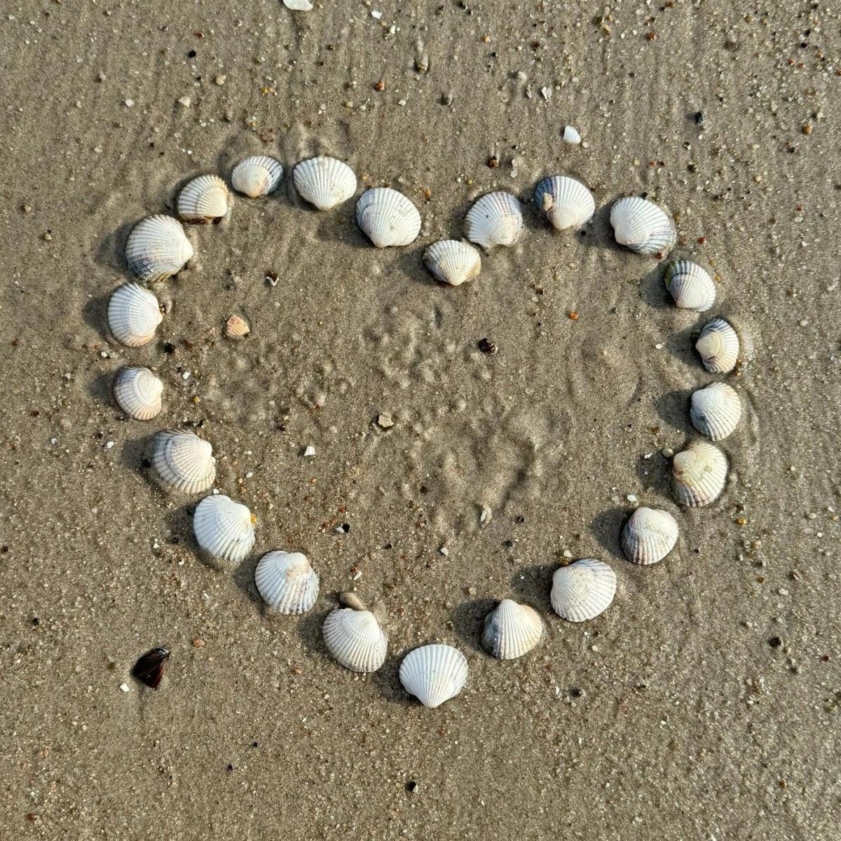 Herz aus Muscheln auf dem Sand am Strand