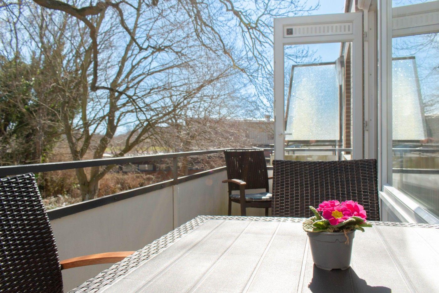 Terrasse mit Tisch, Stühlen und einer Pflanze. Blick auf Bäume und Himmel.